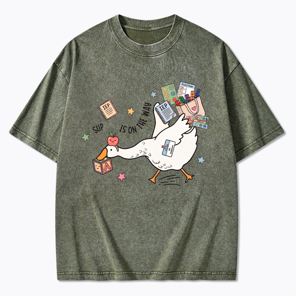 Silly Goose Special Education Washed T-Shirt
