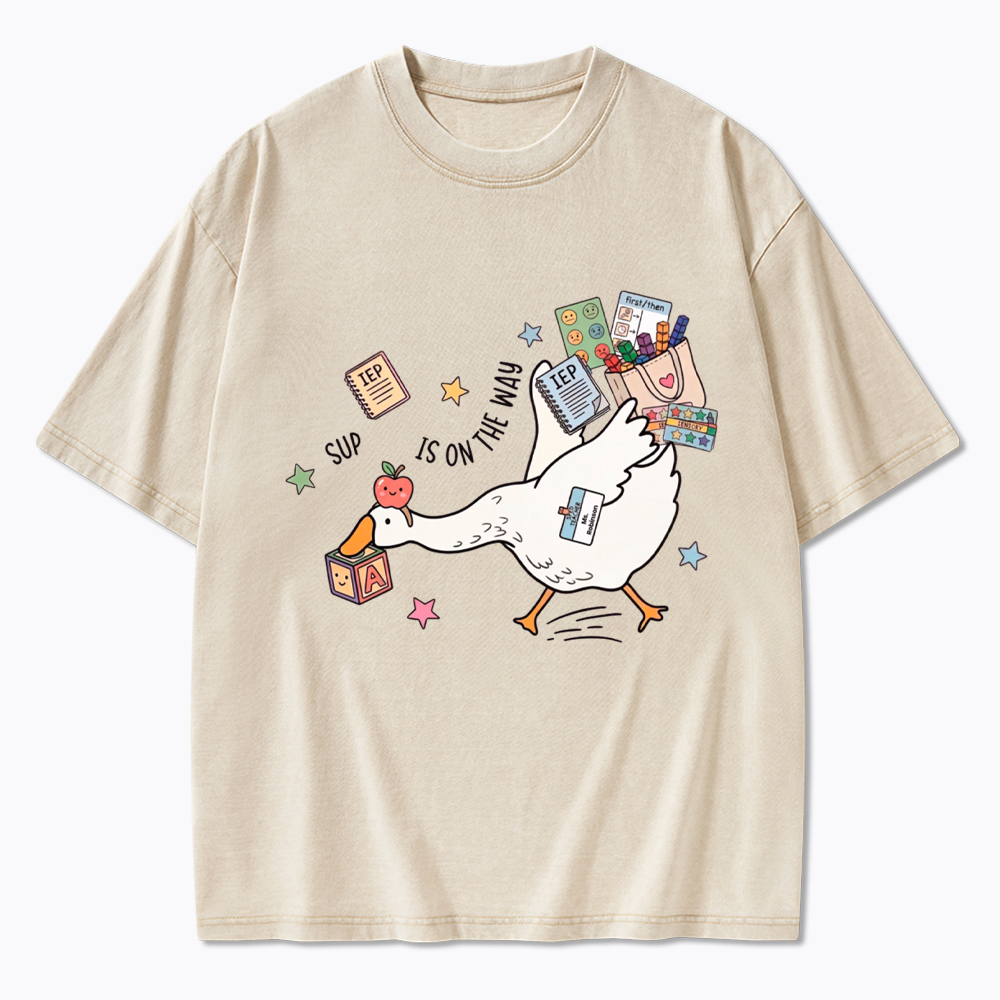 Silly Goose Special Education Washed T-Shirt