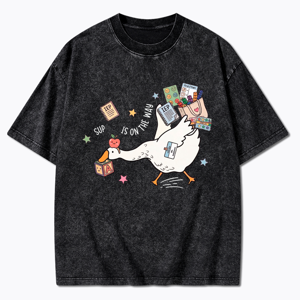Silly Goose Special Education Washed T-Shirt