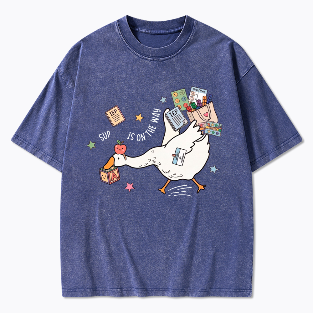 Silly Goose Special Education Washed T-Shirt