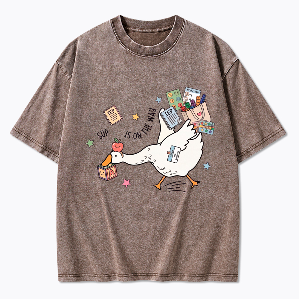 Silly Goose Special Education Washed T-Shirt
