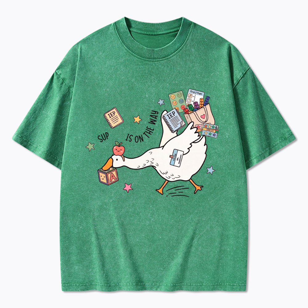 Silly Goose Special Education Washed T-Shirt