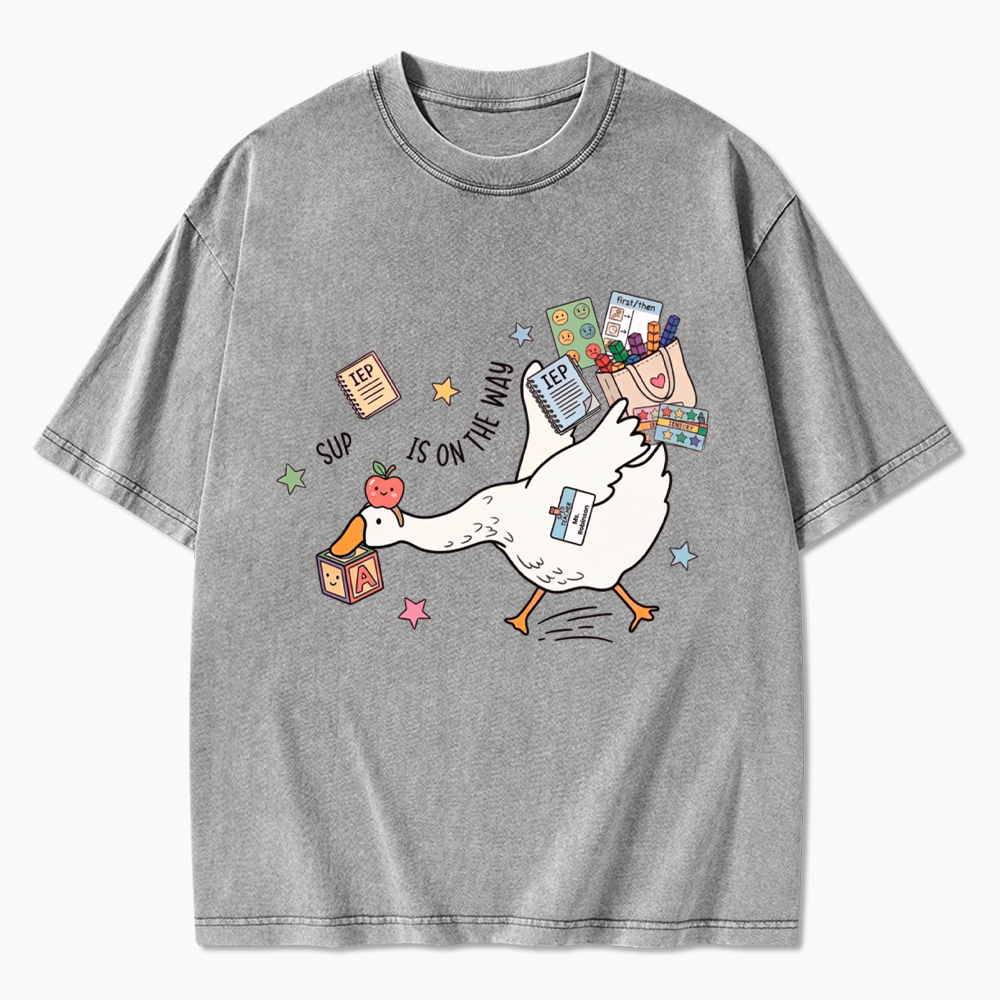 Silly Goose Special Education Washed T-Shirt