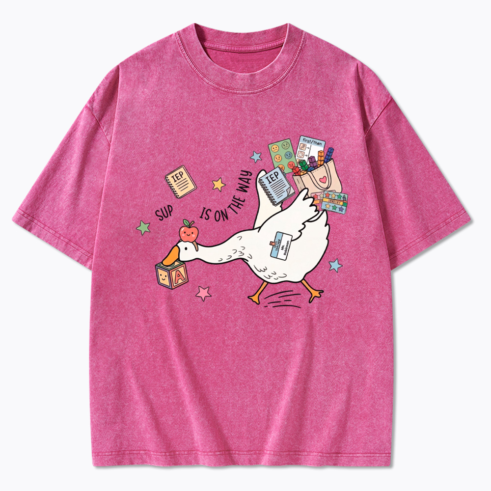 Silly Goose Special Education Washed T-Shirt