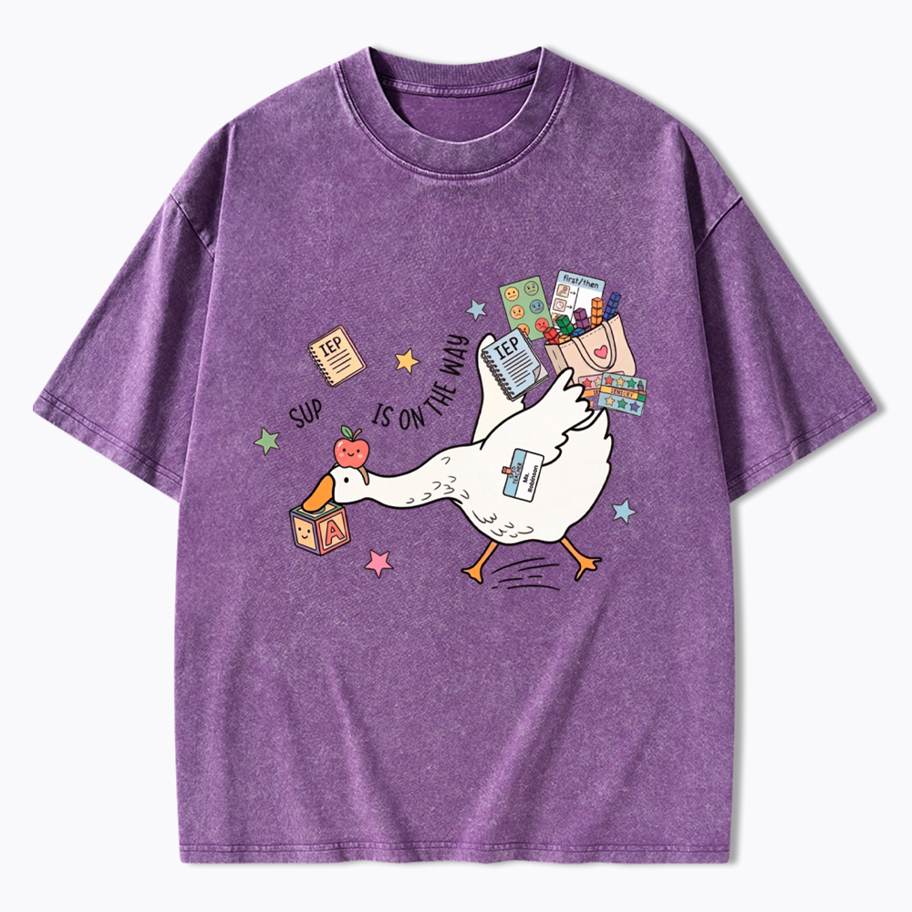 Silly Goose Special Education Washed T-Shirt