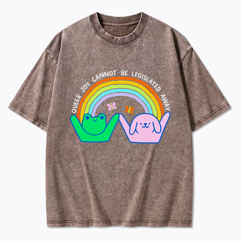Queer Joy Cannot Be Legislated Away Washed T-Shirt