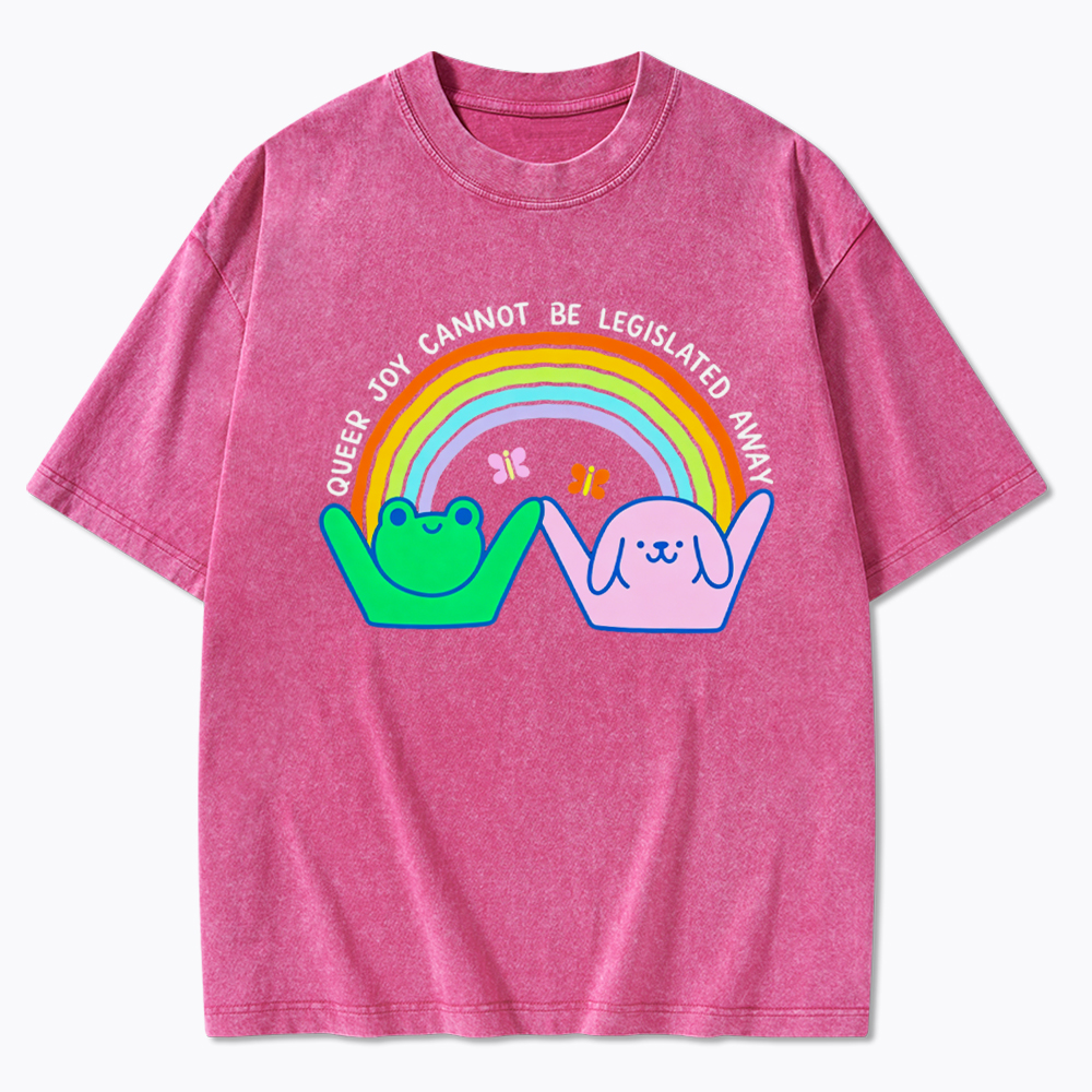Queer Joy Cannot Be Legislated Away Washed T-Shirt