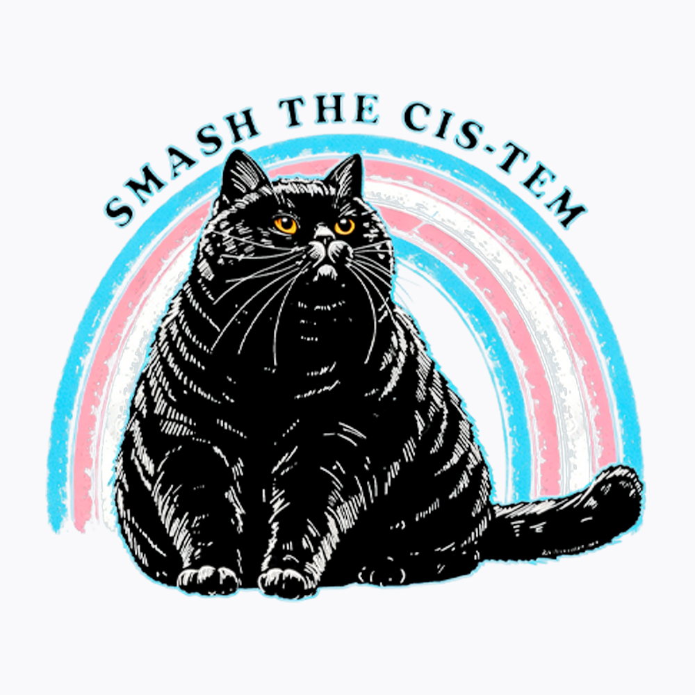 Smash The Cis-tem Cat Washed T-Shirt