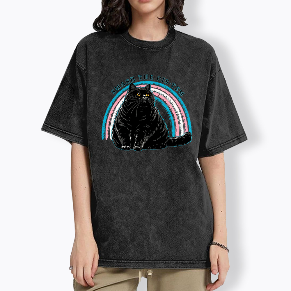 Smash The Cis-tem Cat Washed T-Shirt