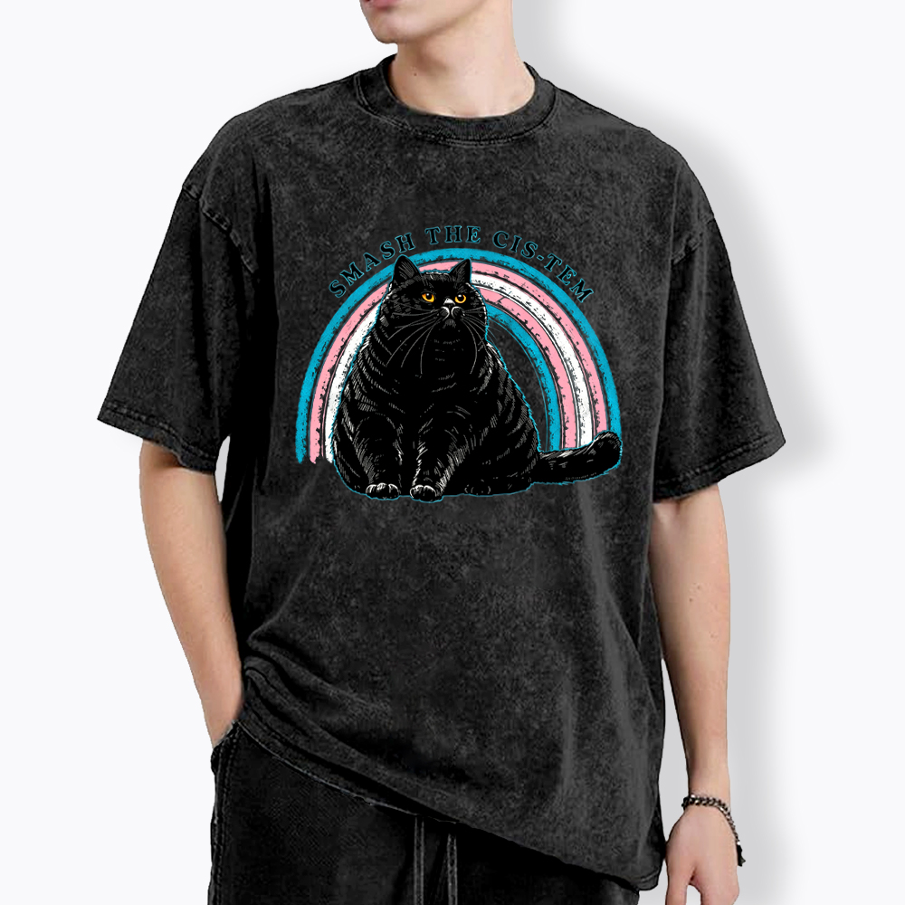 Smash The Cis-tem Cat Washed T-Shirt