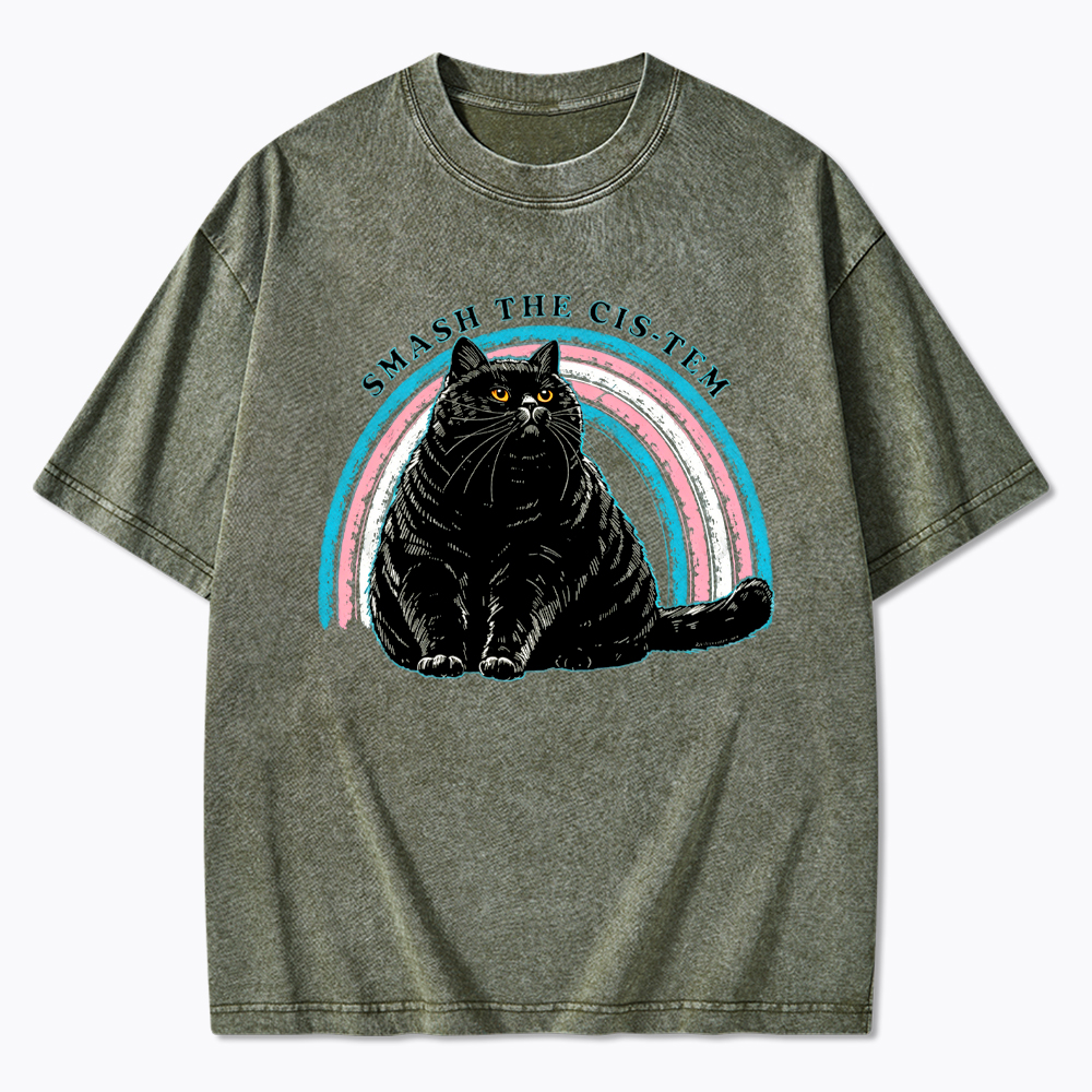 Smash The Cis-tem Cat Washed T-Shirt