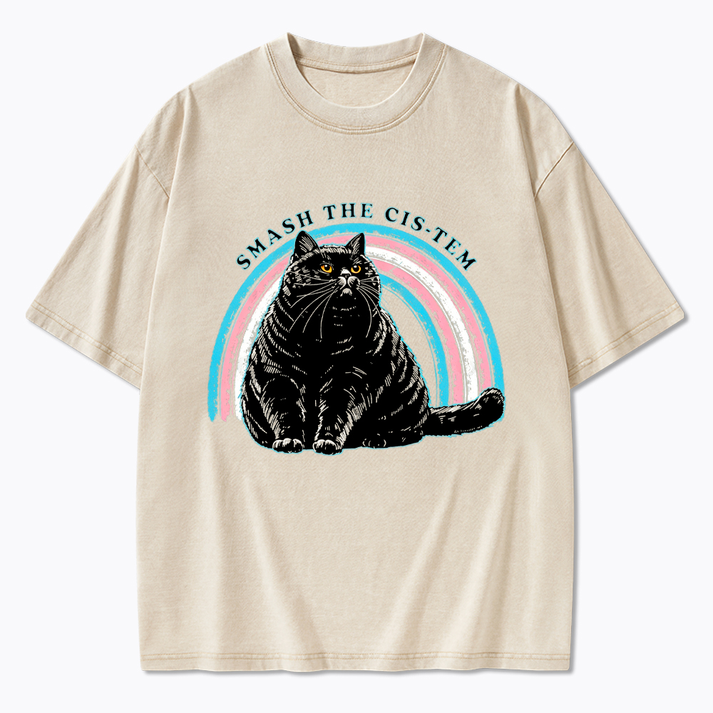 Smash The Cis-tem Cat Washed T-Shirt