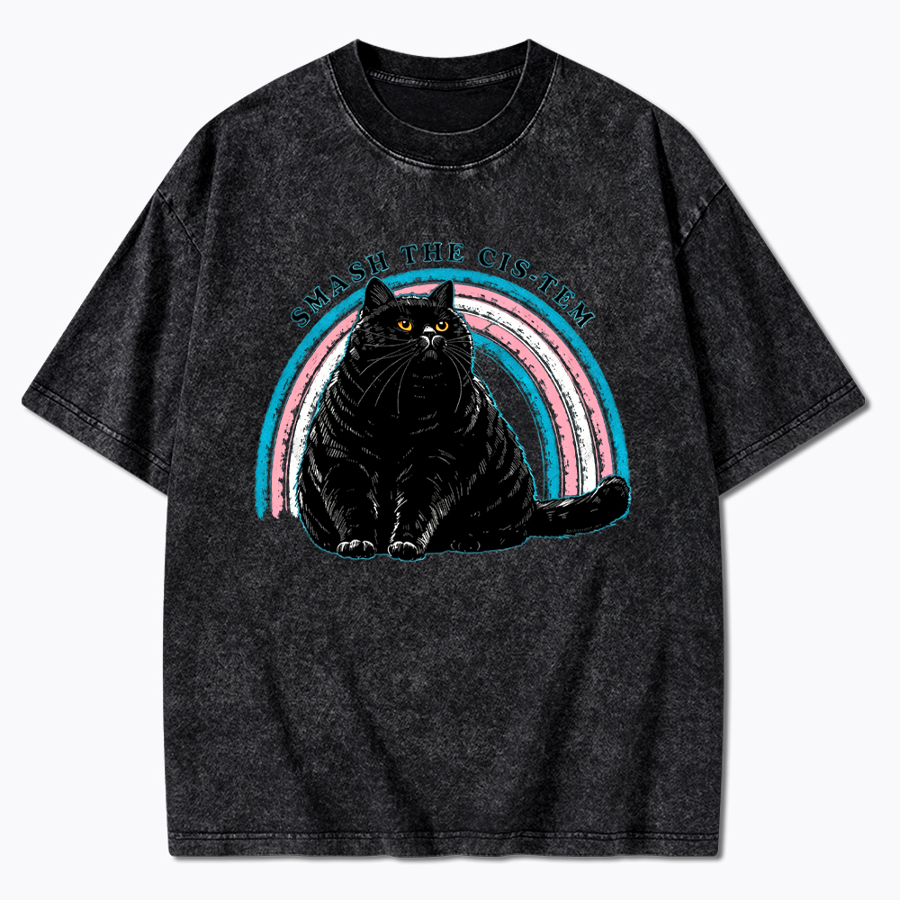 Smash The Cis-tem Cat Washed T-Shirt