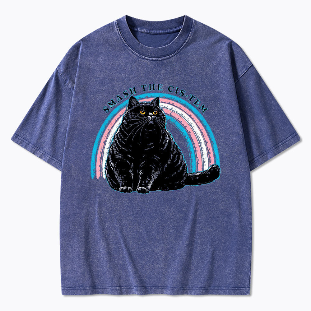 Smash The Cis-tem Cat Washed T-Shirt