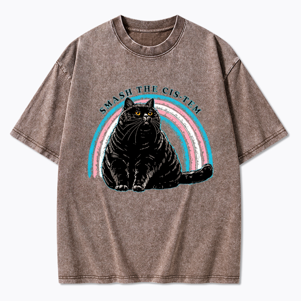 Smash The Cis-tem Cat Washed T-Shirt