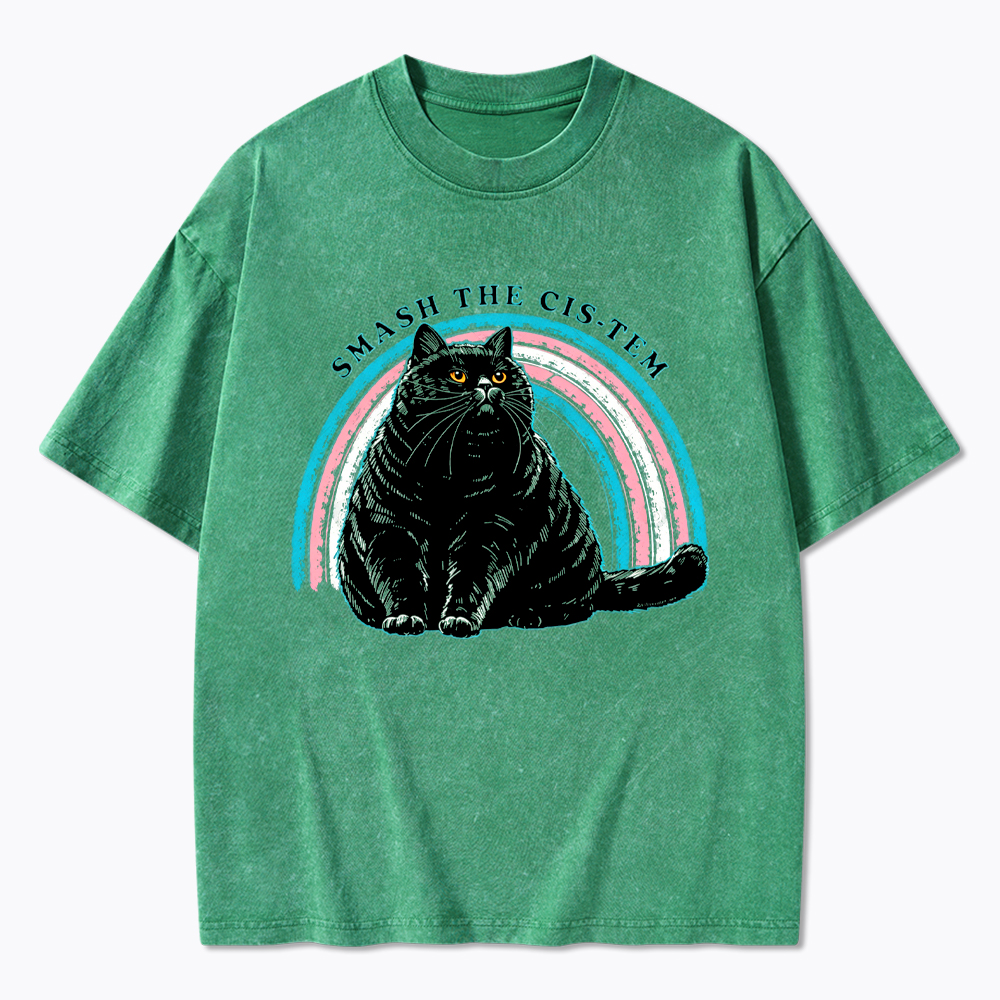 Smash The Cis-tem Cat Washed T-Shirt