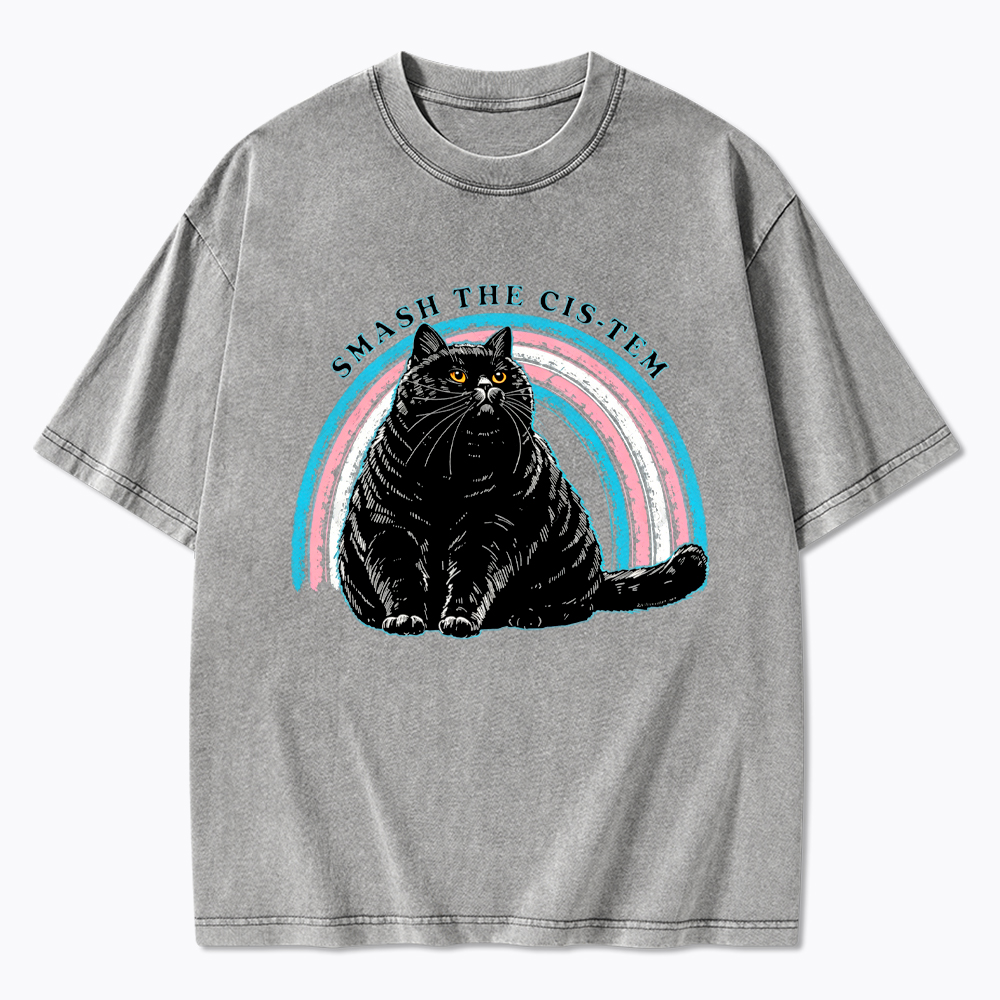 Smash The Cis-tem Cat Washed T-Shirt
