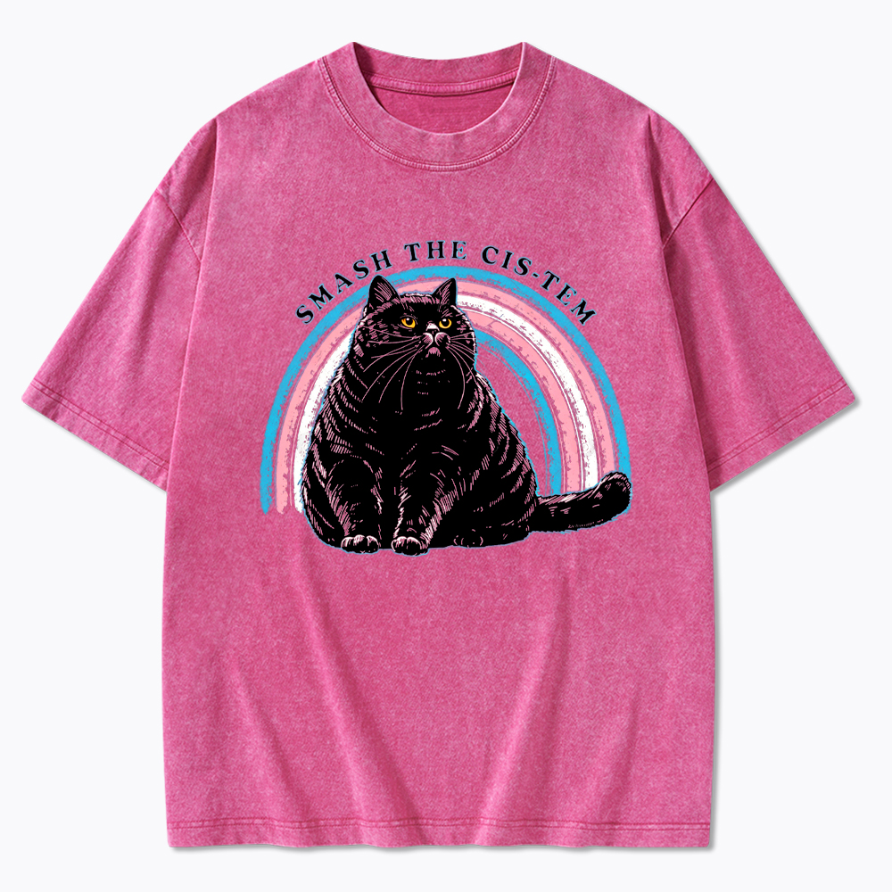 Smash The Cis-tem Cat Washed T-Shirt