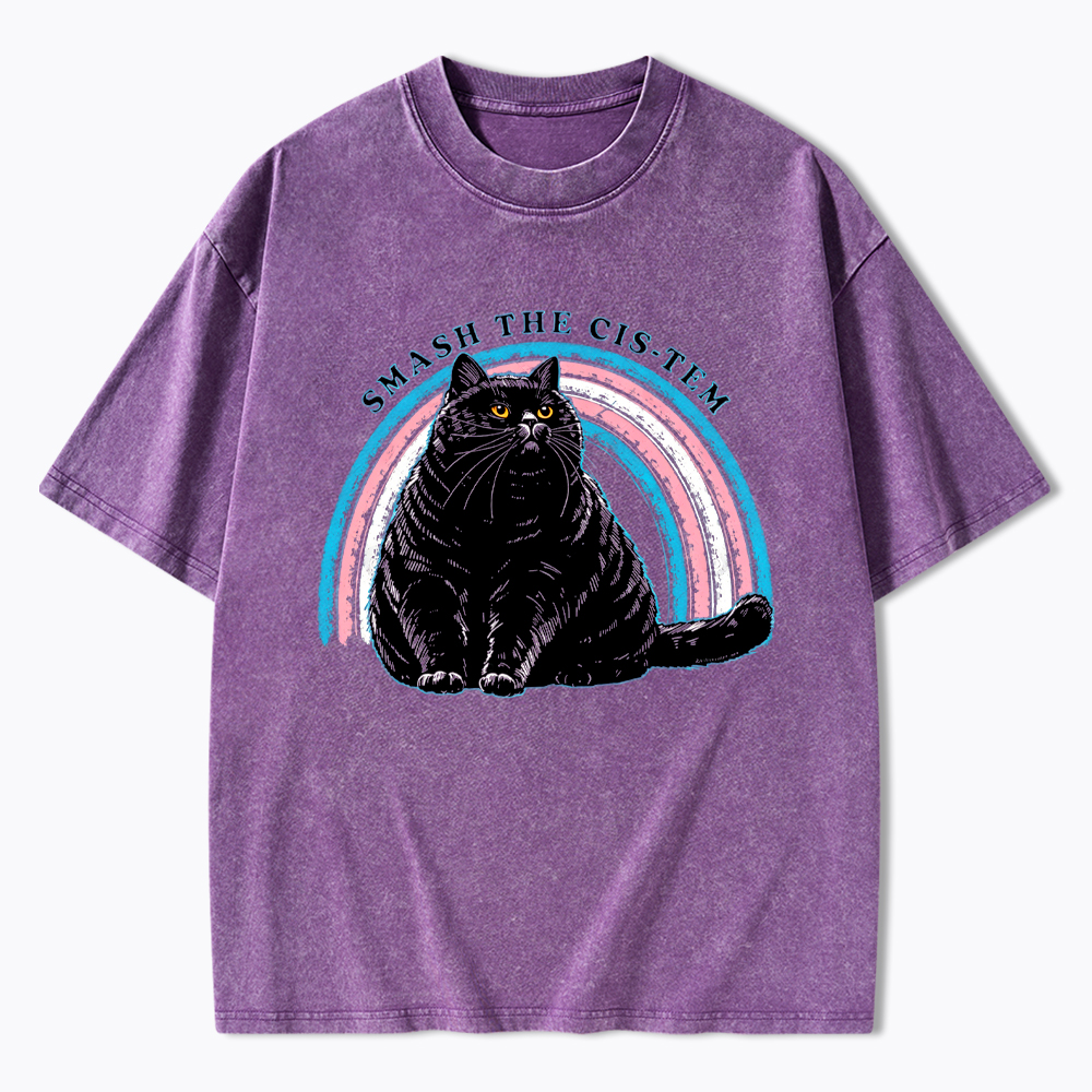 Smash The Cis-tem Cat Washed T-Shirt