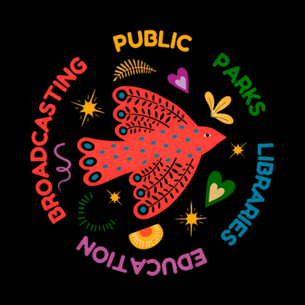 Public Parks Libraries Education Broadcasting Liberal Washed T-Shirt