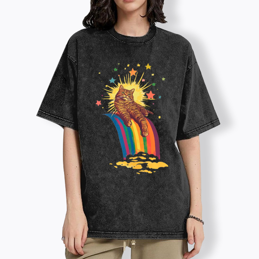 Rainbow Tabby Cat Washed T-Shirt