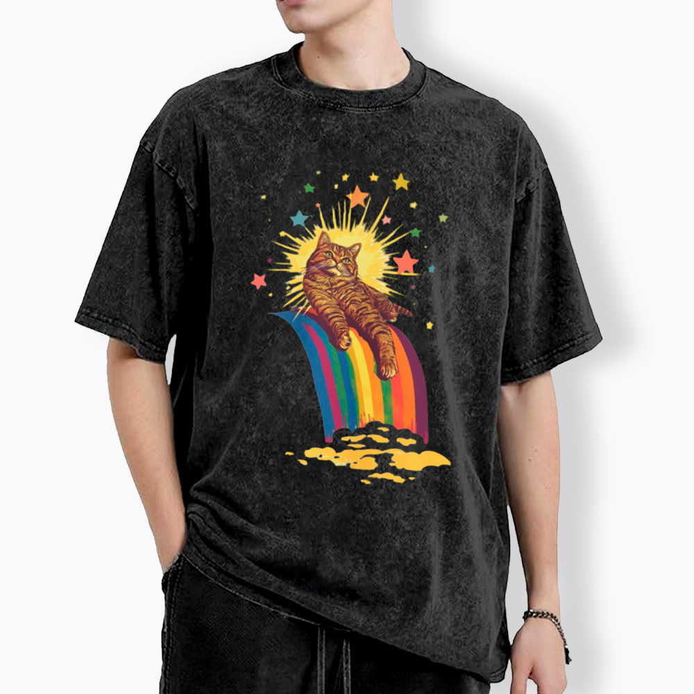 Rainbow Tabby Cat Washed T-Shirt