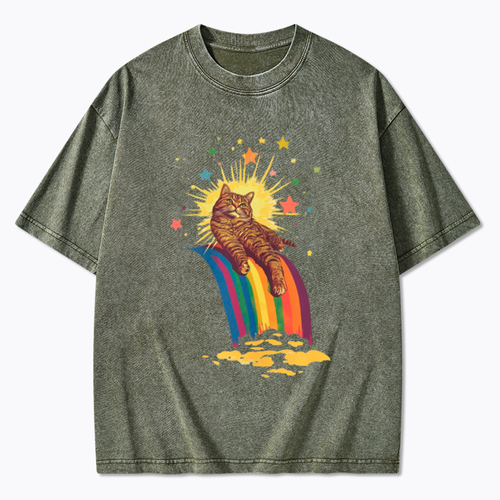 Rainbow Tabby Cat Washed T-Shirt