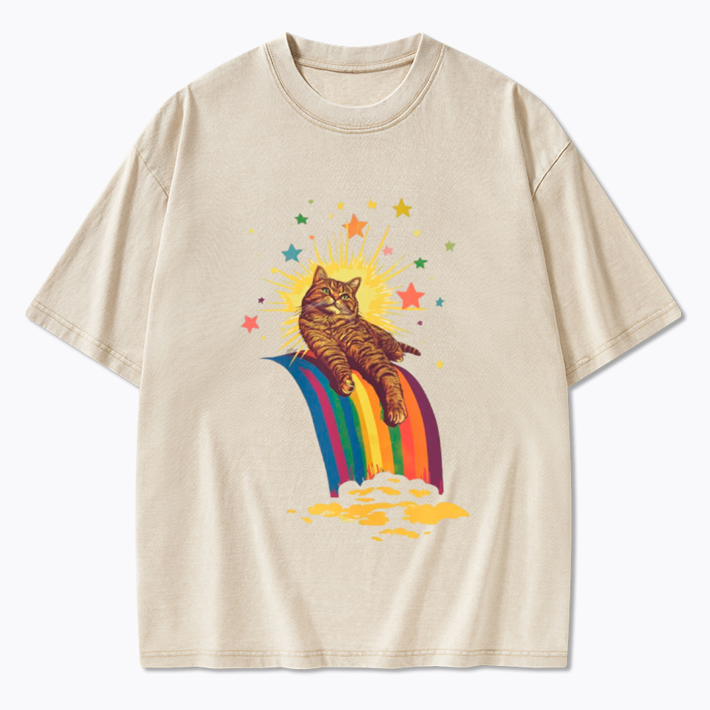 Rainbow Tabby Cat Washed T-Shirt
