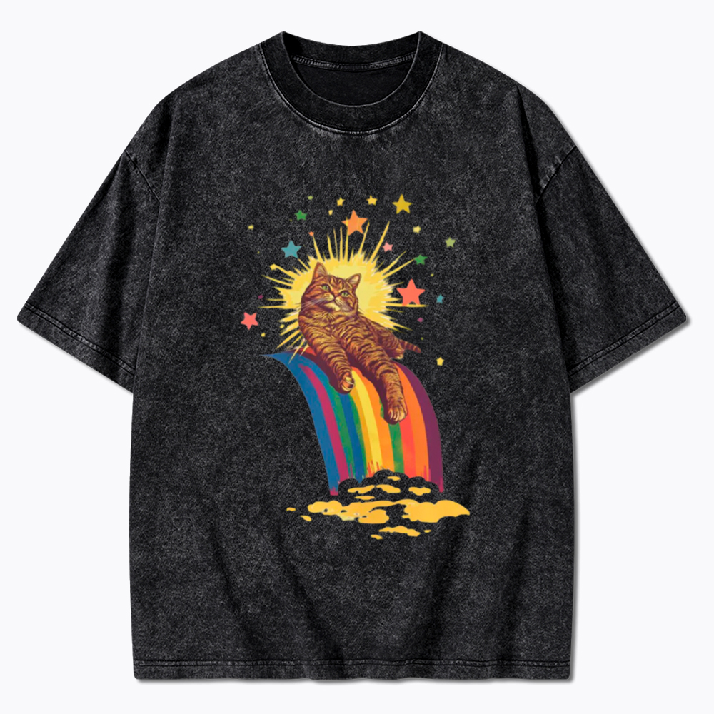 Rainbow Tabby Cat Washed T-Shirt