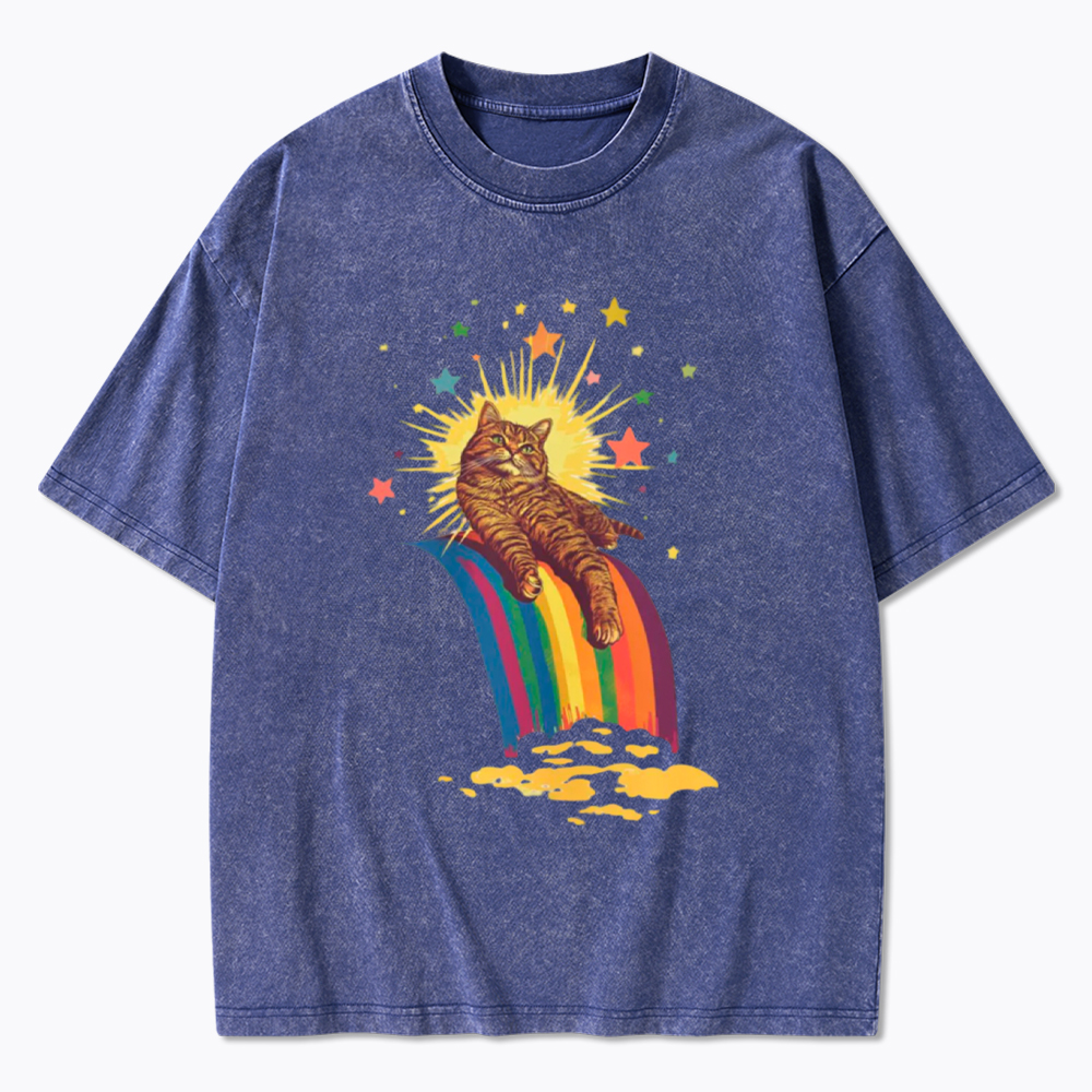 Rainbow Tabby Cat Washed T-Shirt