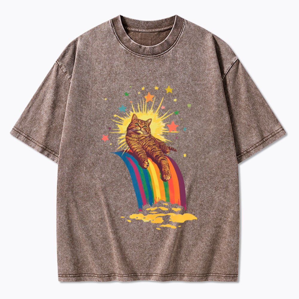 Rainbow Tabby Cat Washed T-Shirt