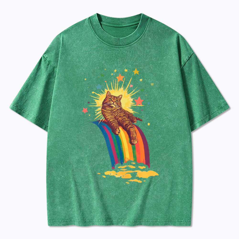 Rainbow Tabby Cat Washed T-Shirt