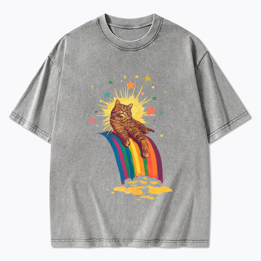Rainbow Tabby Cat Washed T-Shirt