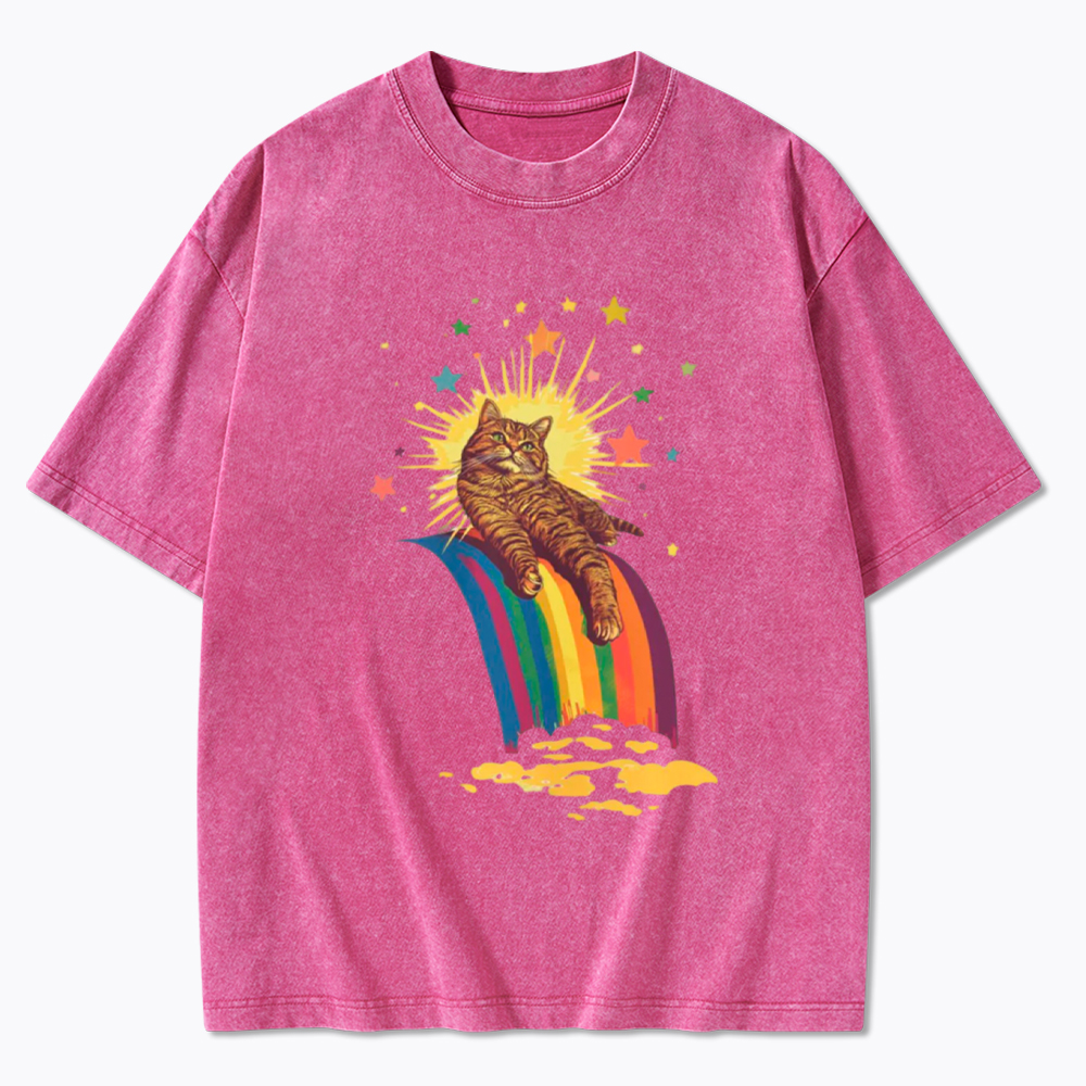 Rainbow Tabby Cat Washed T-Shirt
