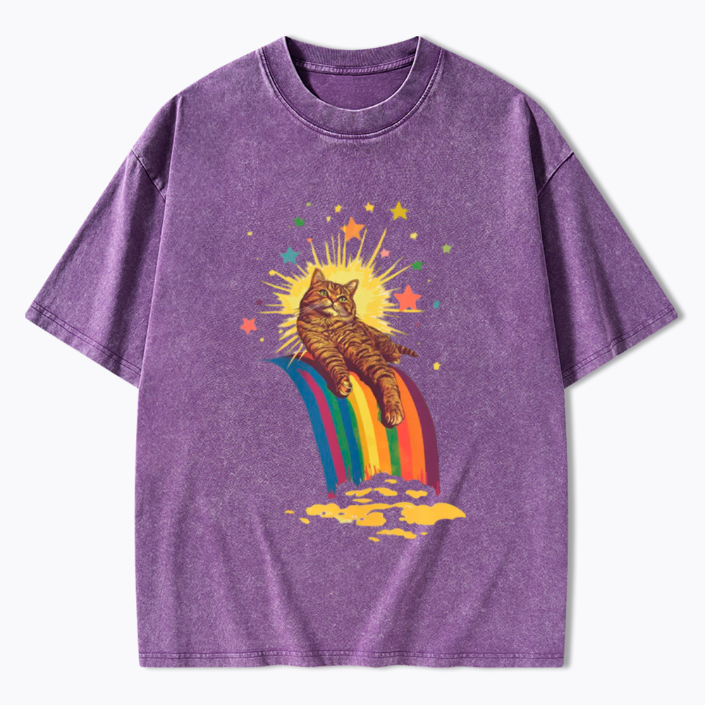 Rainbow Tabby Cat Washed T-Shirt