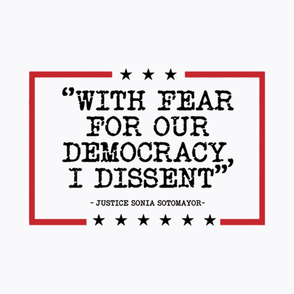 With Fear For Our Democracy I Dissent Washed T-Shirt