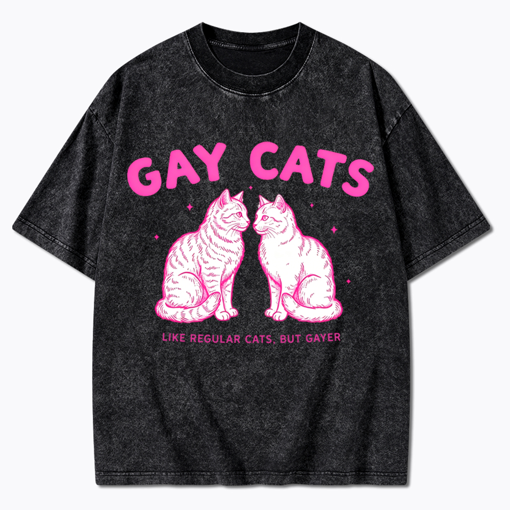 Gay Cats Funny LGBTQ Washed T-Shirt