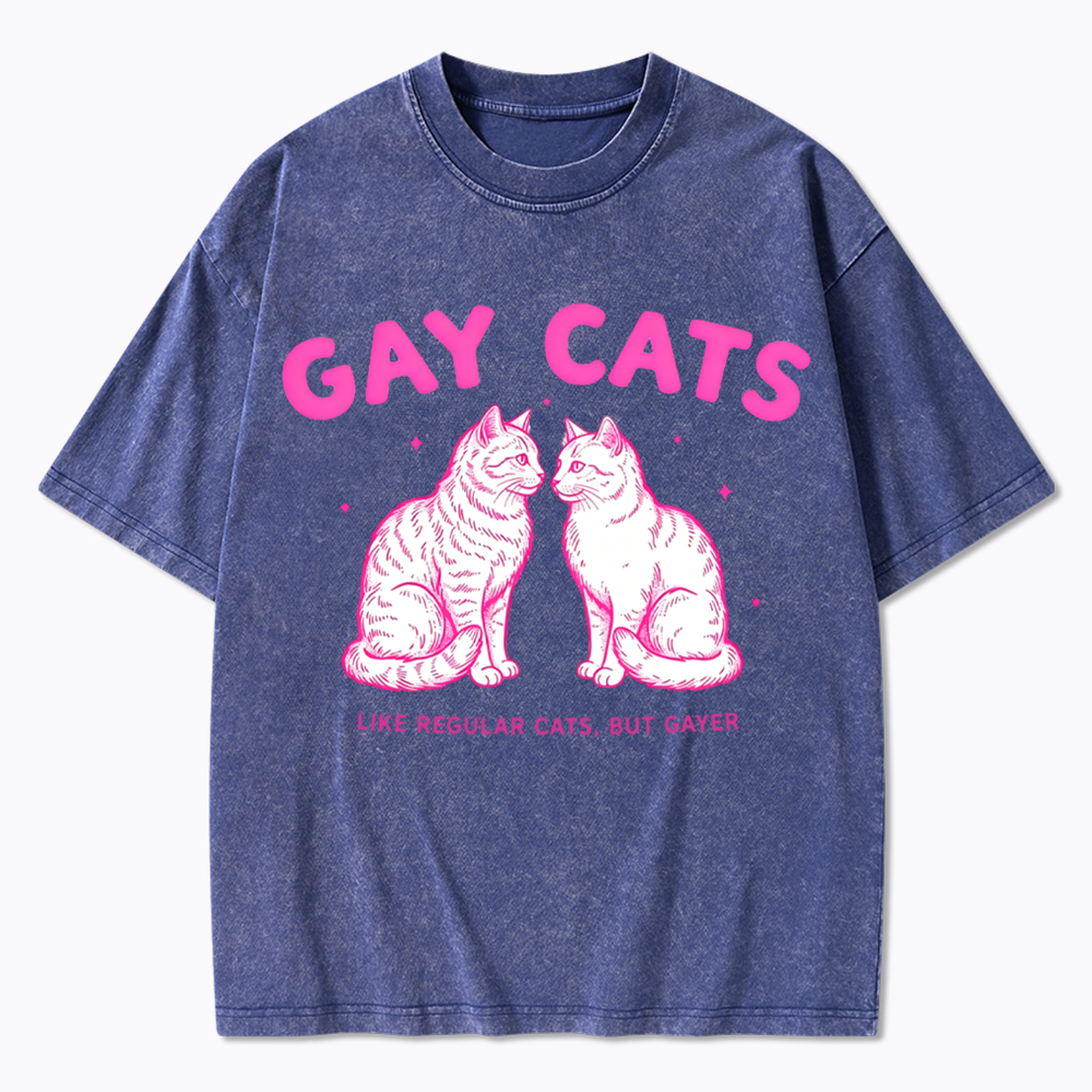 Gay Cats Funny LGBTQ Washed T-Shirt