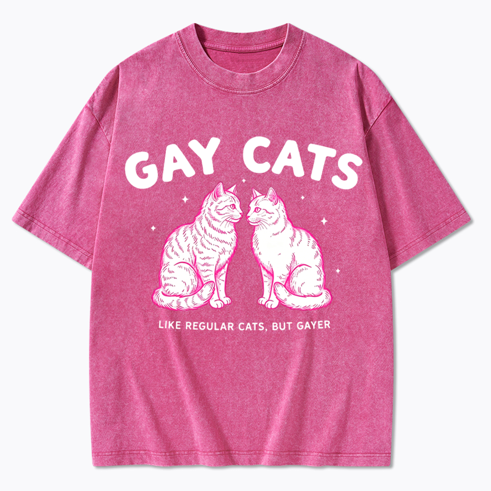 Gay Cats Funny LGBTQ Washed T-Shirt