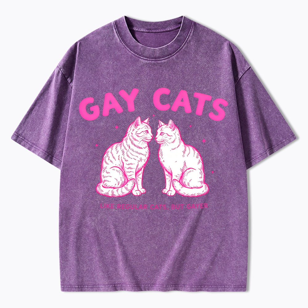 Gay Cats Funny LGBTQ Washed T-Shirt