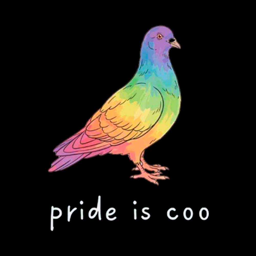 Pride Is Coo Washed T-Shirt