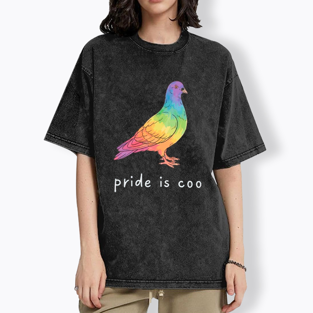 Pride Is Coo Washed T-Shirt