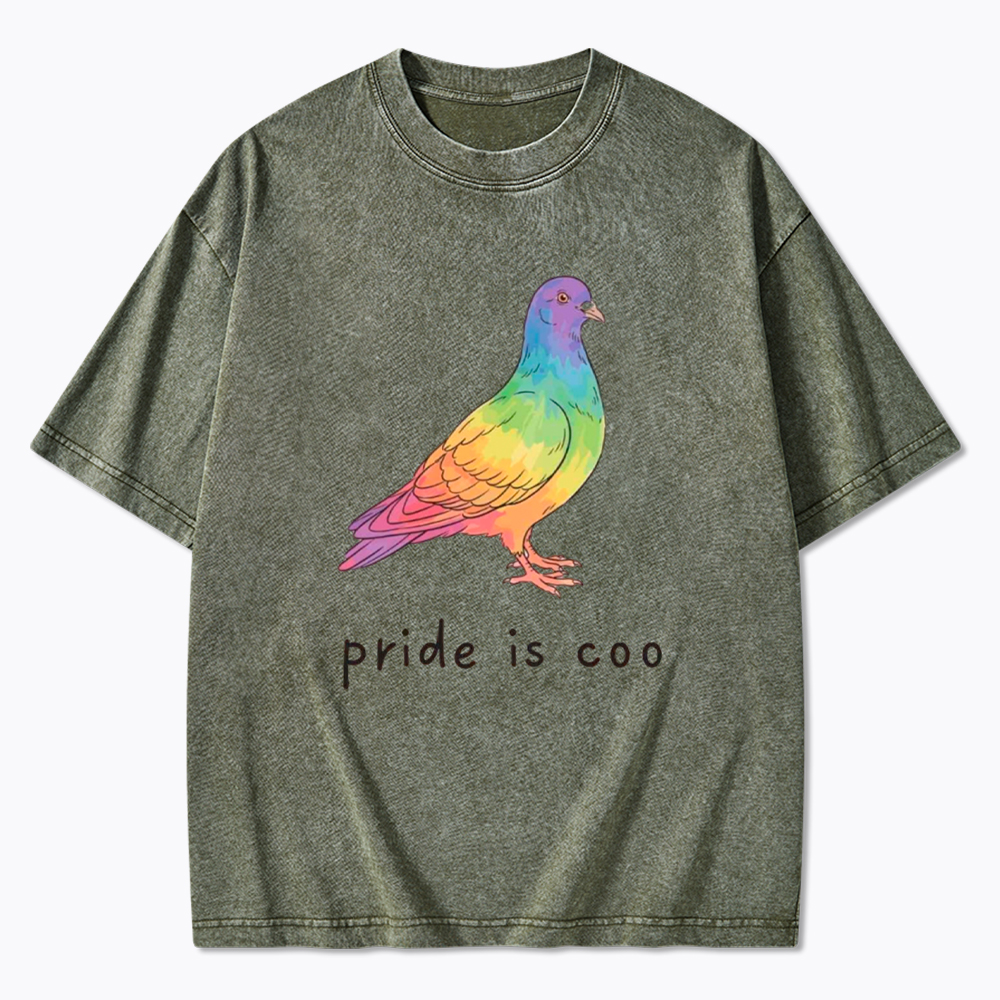 Pride Is Coo Washed T-Shirt