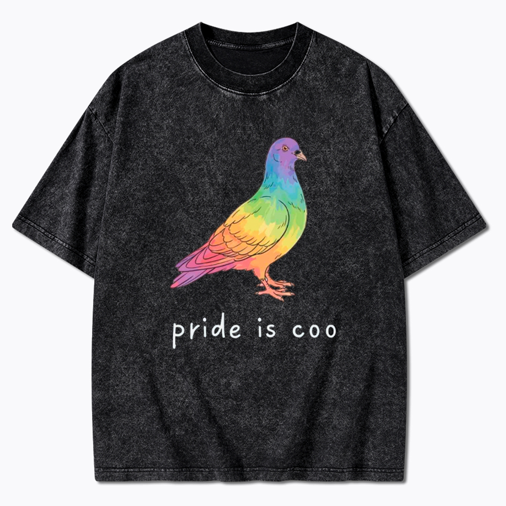 Pride Is Coo Washed T-Shirt