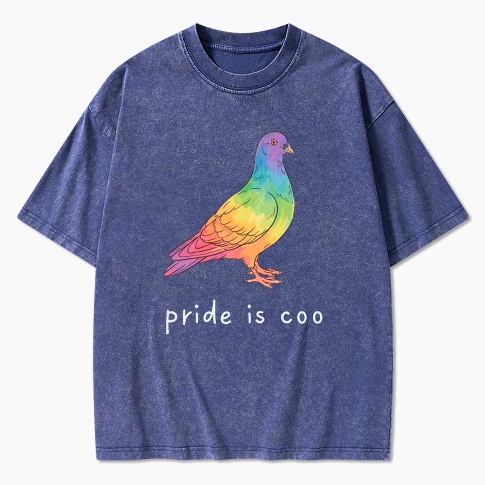 Pride Is Coo Washed T-Shirt