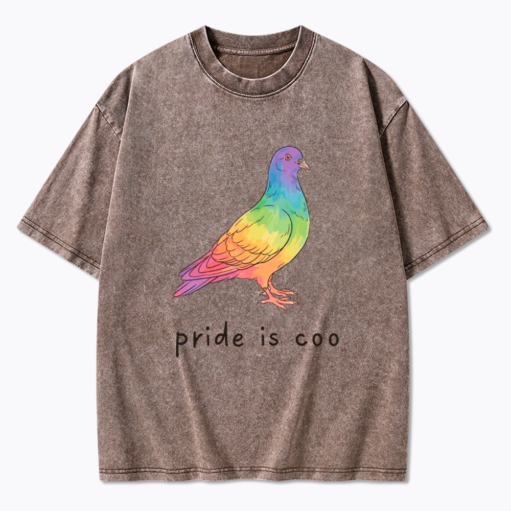 Pride Is Coo Washed T-Shirt