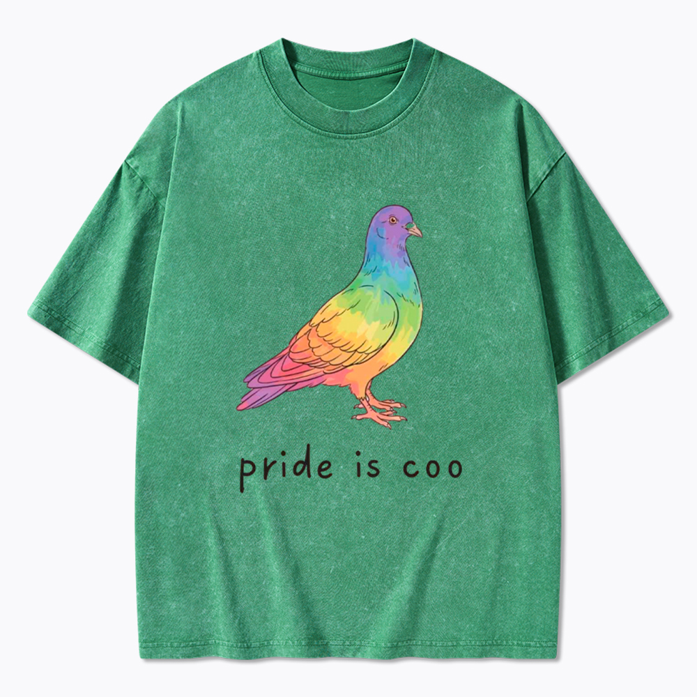 Pride Is Coo Washed T-Shirt