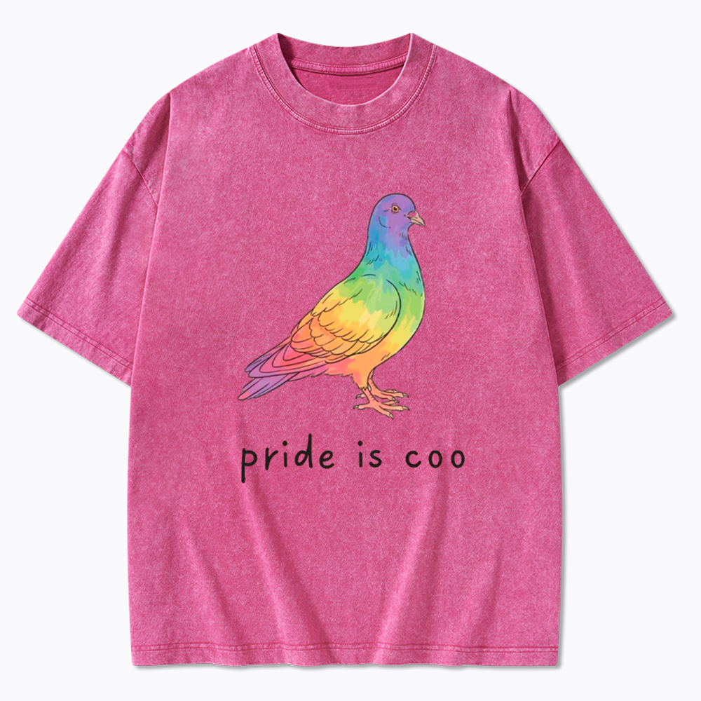 Pride Is Coo Washed T-Shirt
