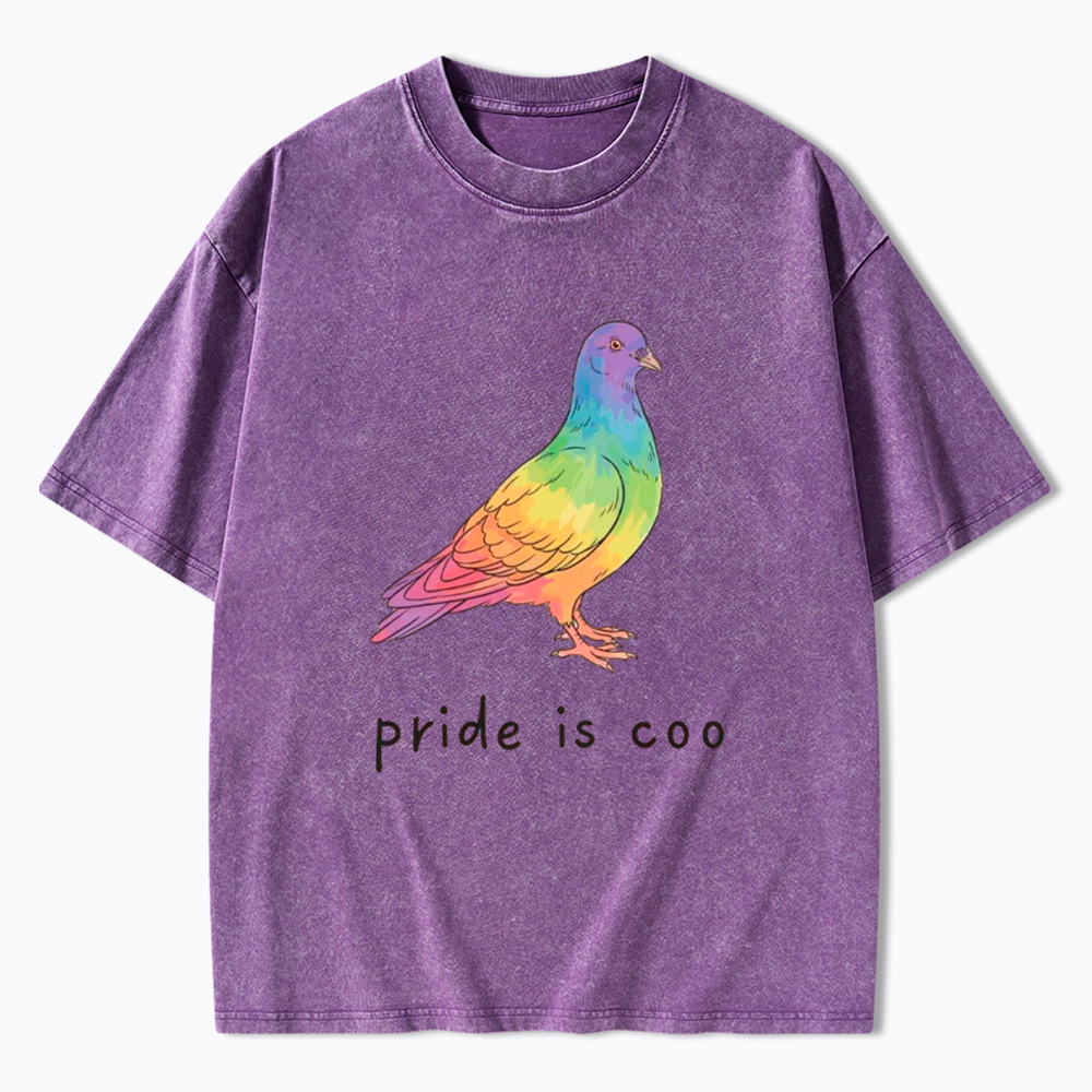 Pride Is Coo Washed T-Shirt
