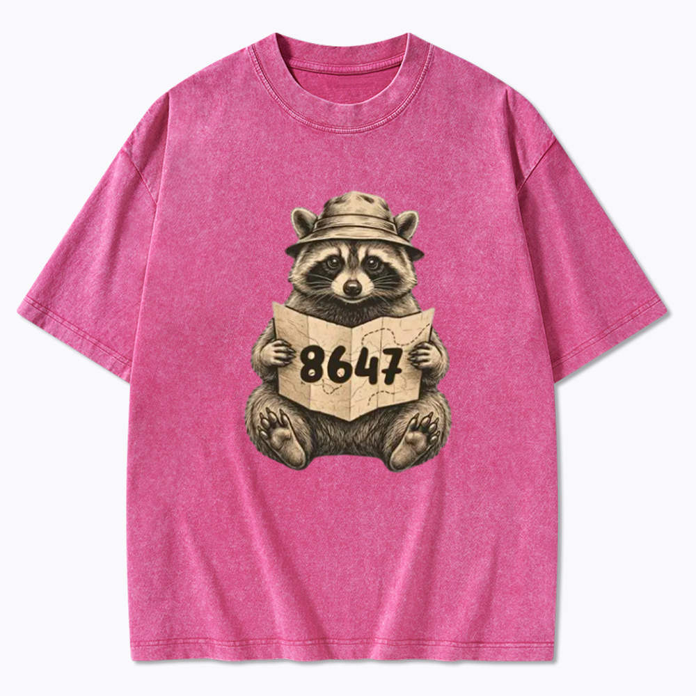 Finding the Truth Raccoon Map Washed T-Shirt